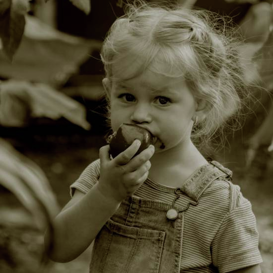 מהשדה לצלחת – פרק 1