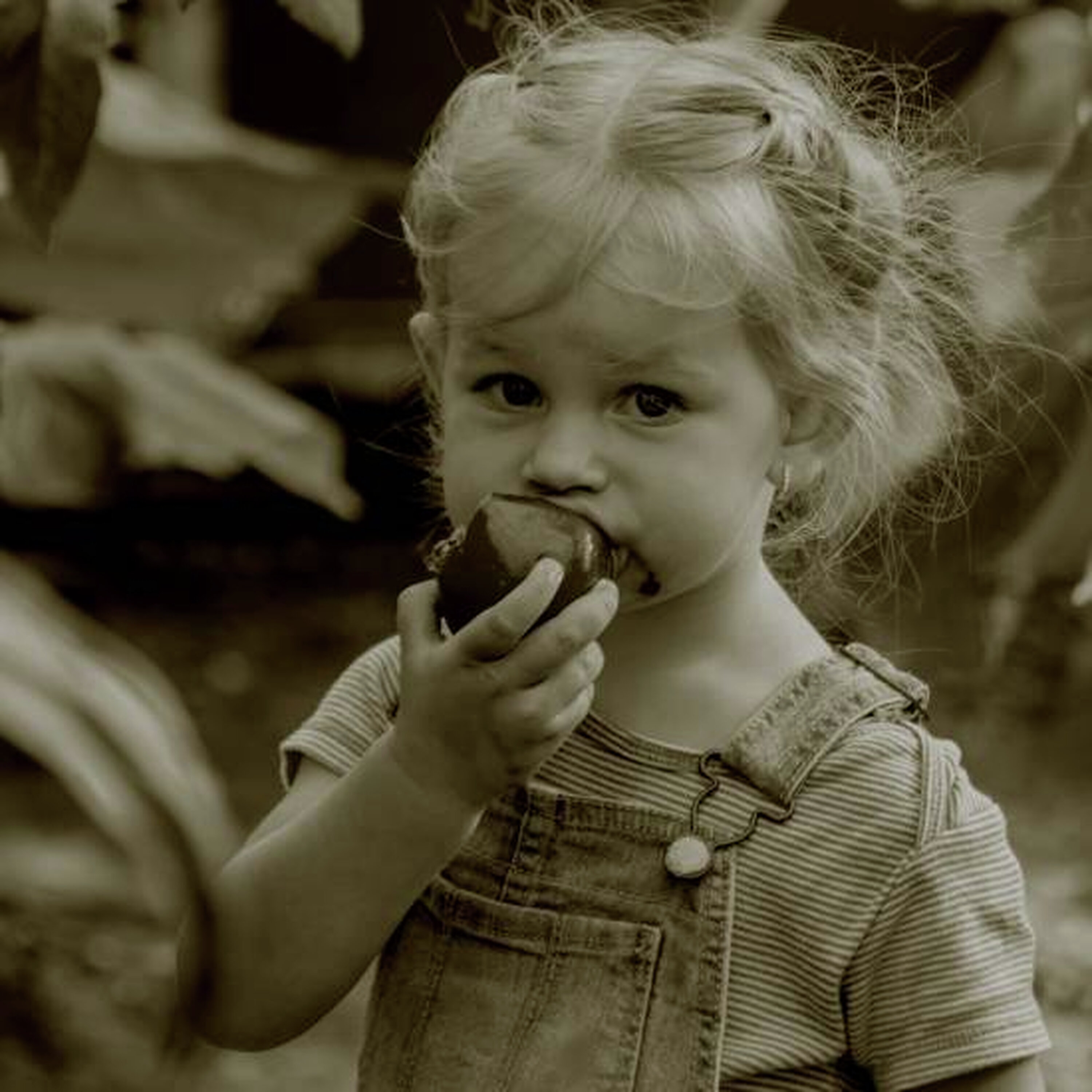 מהשדה לצלחת – פרק 1