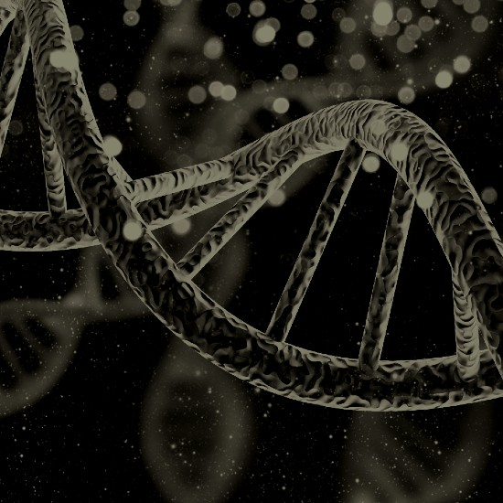 הגנום האנושי - חלק 3
