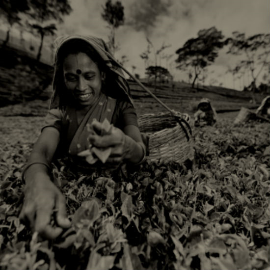 מלחמות עוד קורות בקיץ: חלק 3