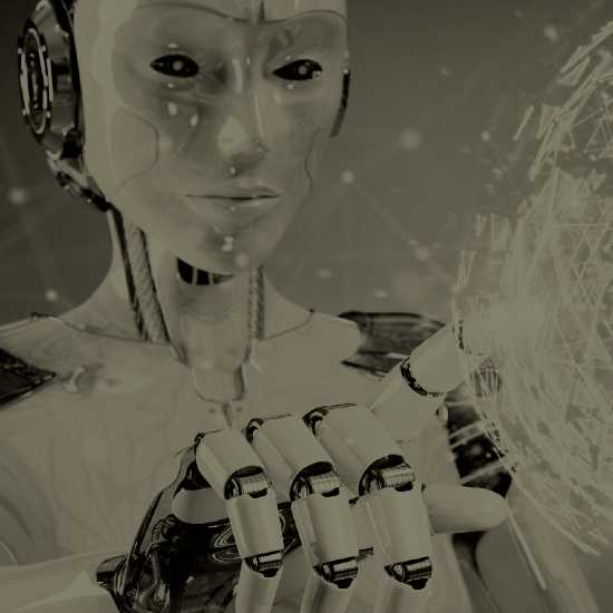 סקרנות הרגה את החתול - פרק 4