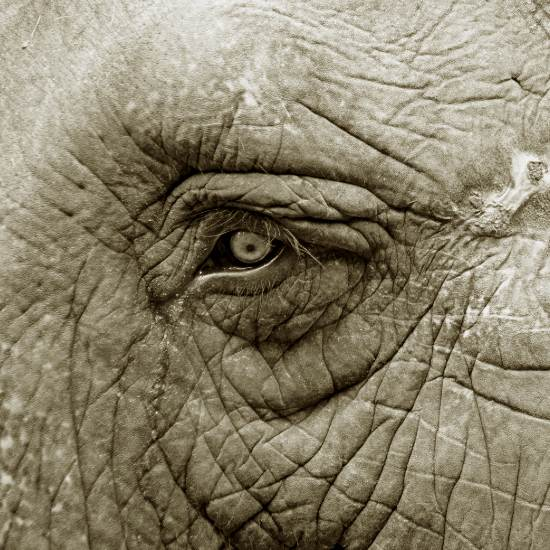 לחשוב דרך העור - פרק 2