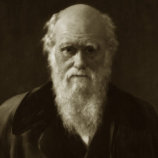 מה קרה לאבולוציה מאז דרווין - פרק 2