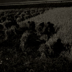 עבודת שורשים: חלק 1