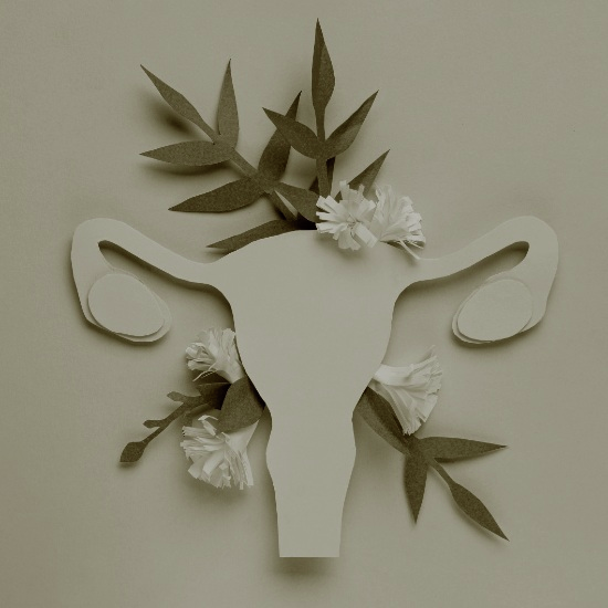 מהי בורות באקדמיה - פרק 2