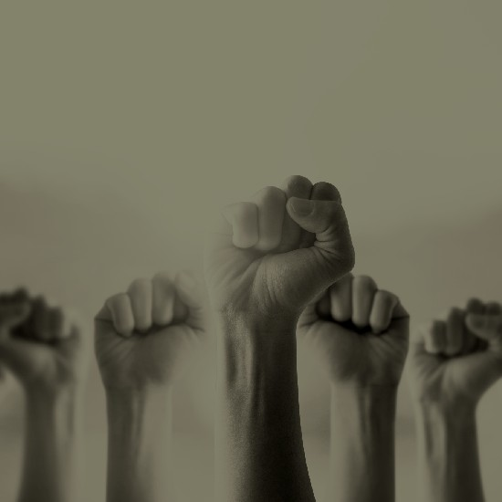 אזרחות ושוויון: חלק 2