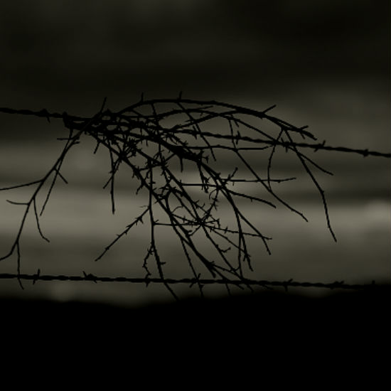 מחנות ריכוז ושיטות החרגה: חלק 4