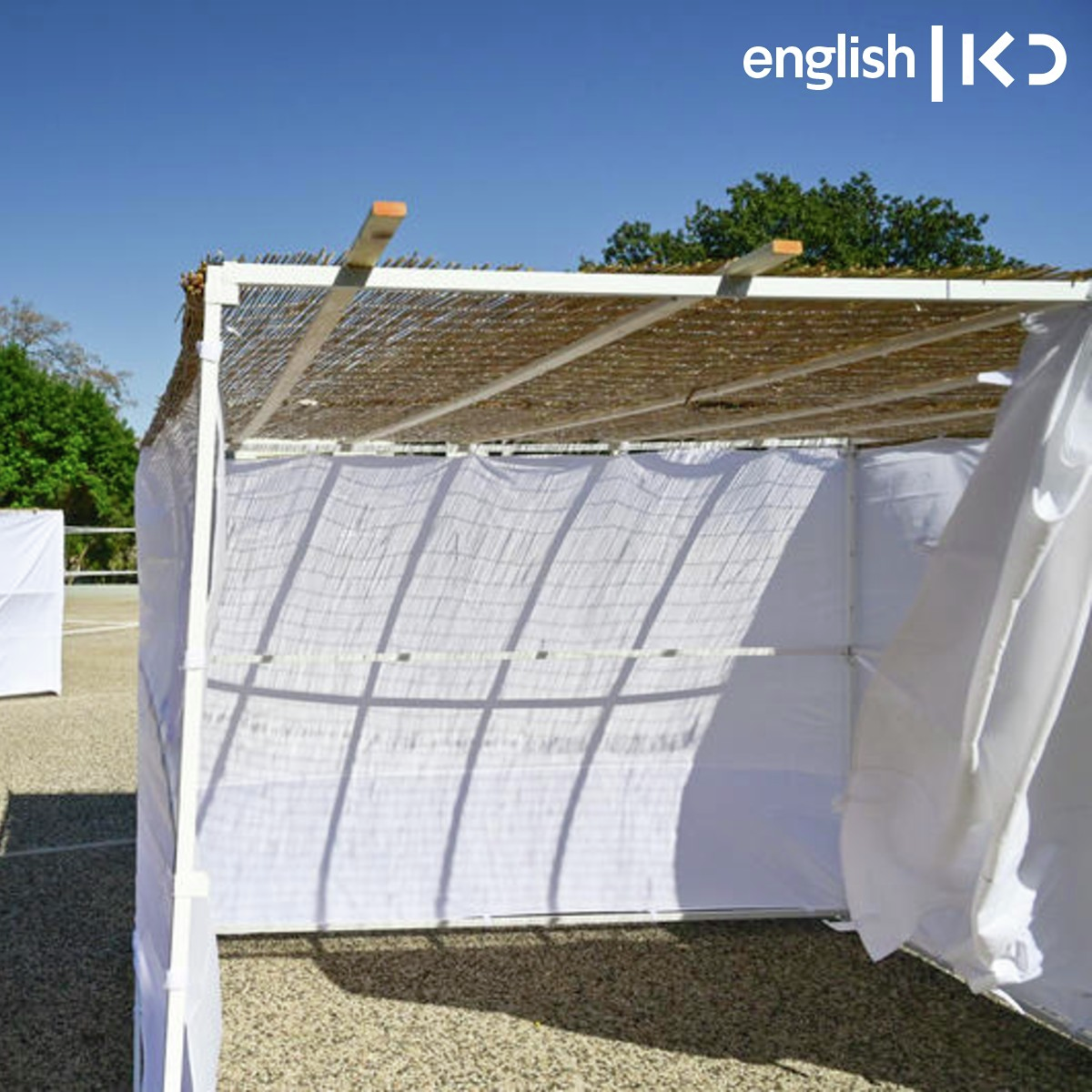 In fragile times, Sukkot and reflections on what makes a home