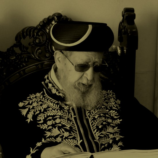 מתכוננים למבול