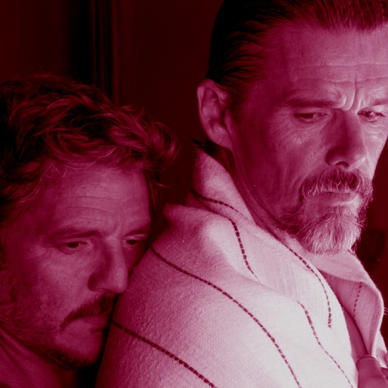 משפחתי, הספריה ואלמודובר