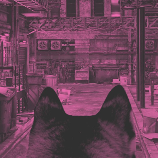 זאבה וגאווה במוסד