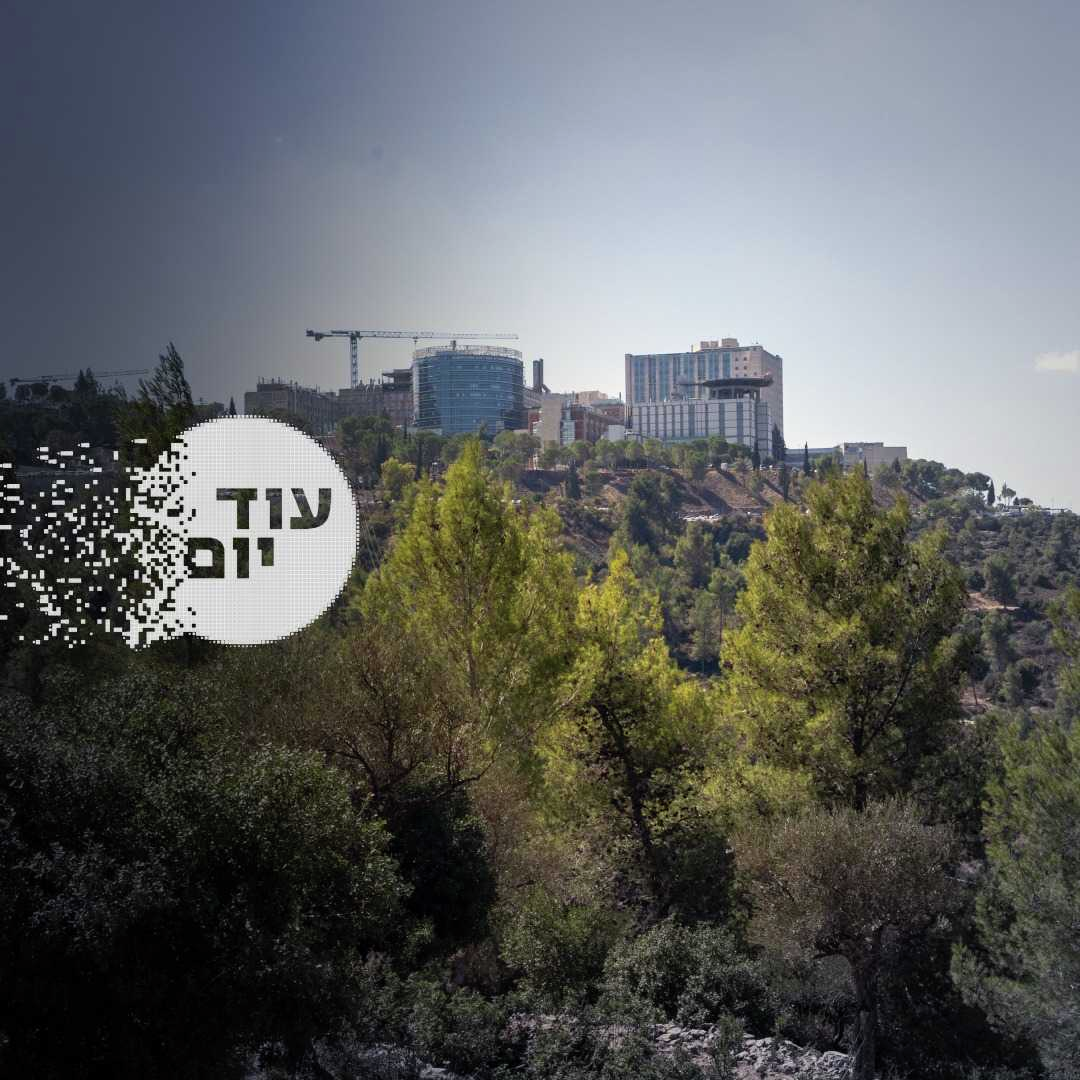 שומרת היערות