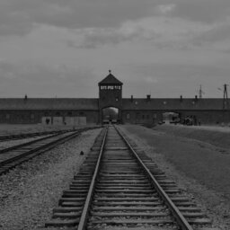 חקר השואה| עבר ועתיד