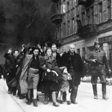 האי ברחוב הציפורים - חלק שני