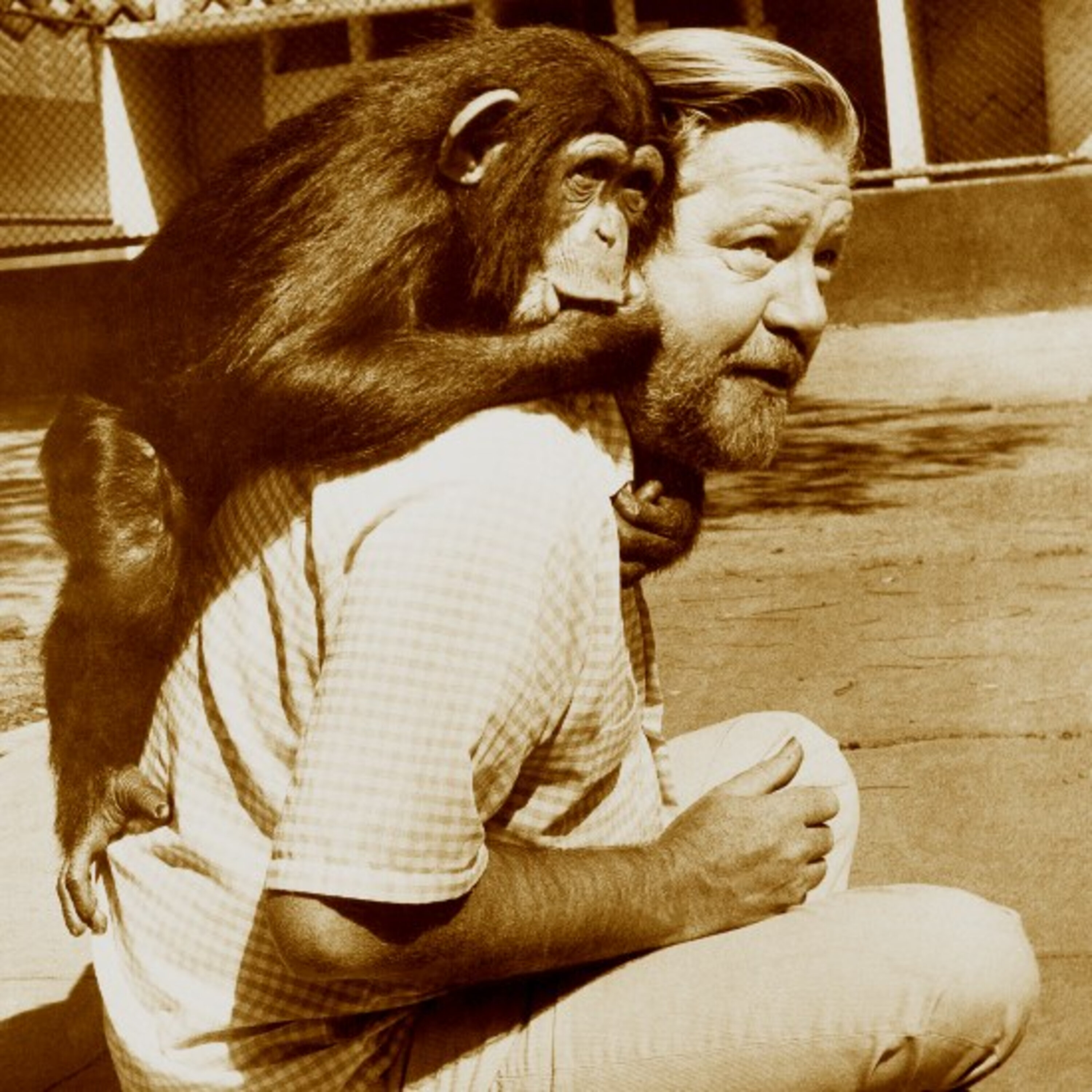 ג'ראלד דארל