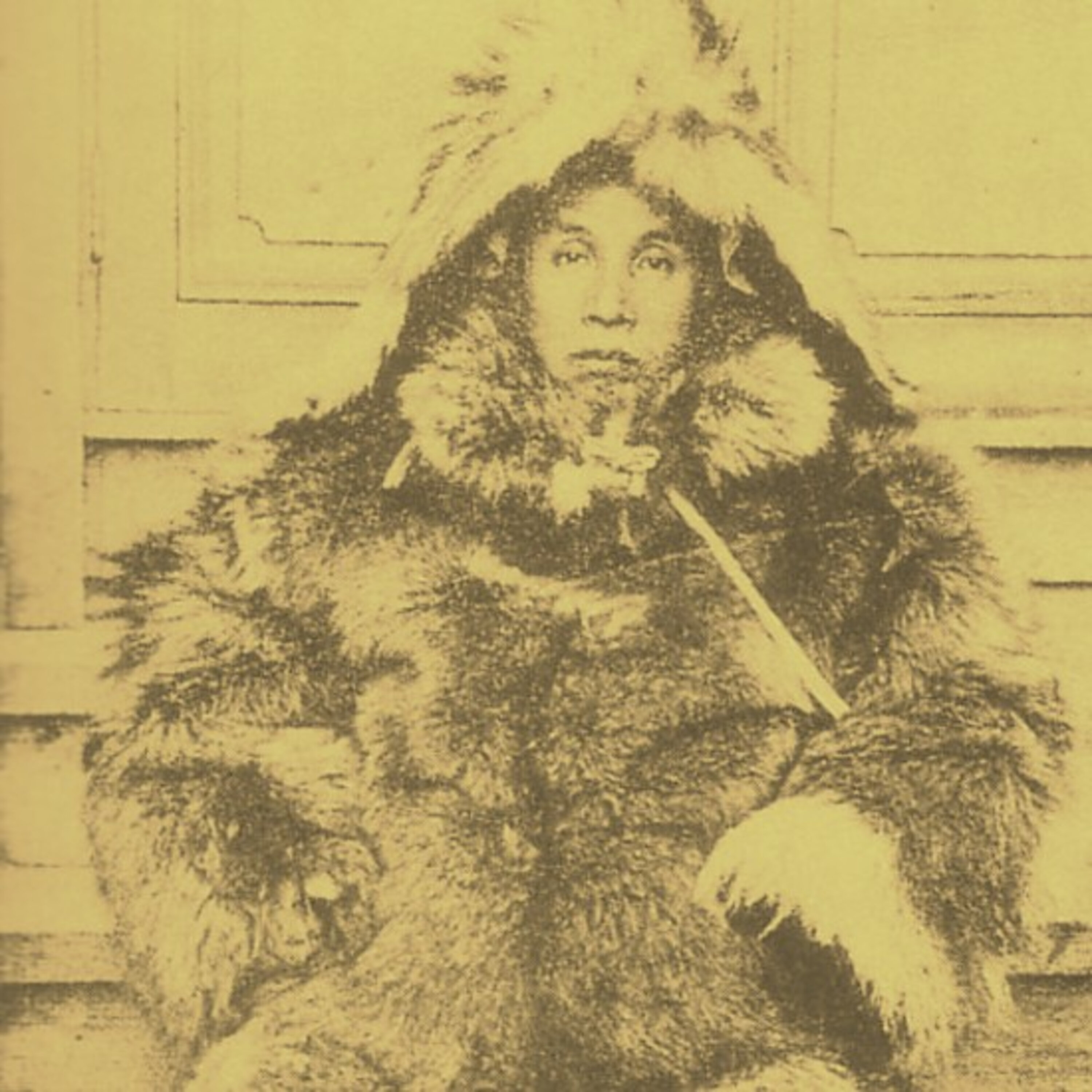 נובו שיראזה