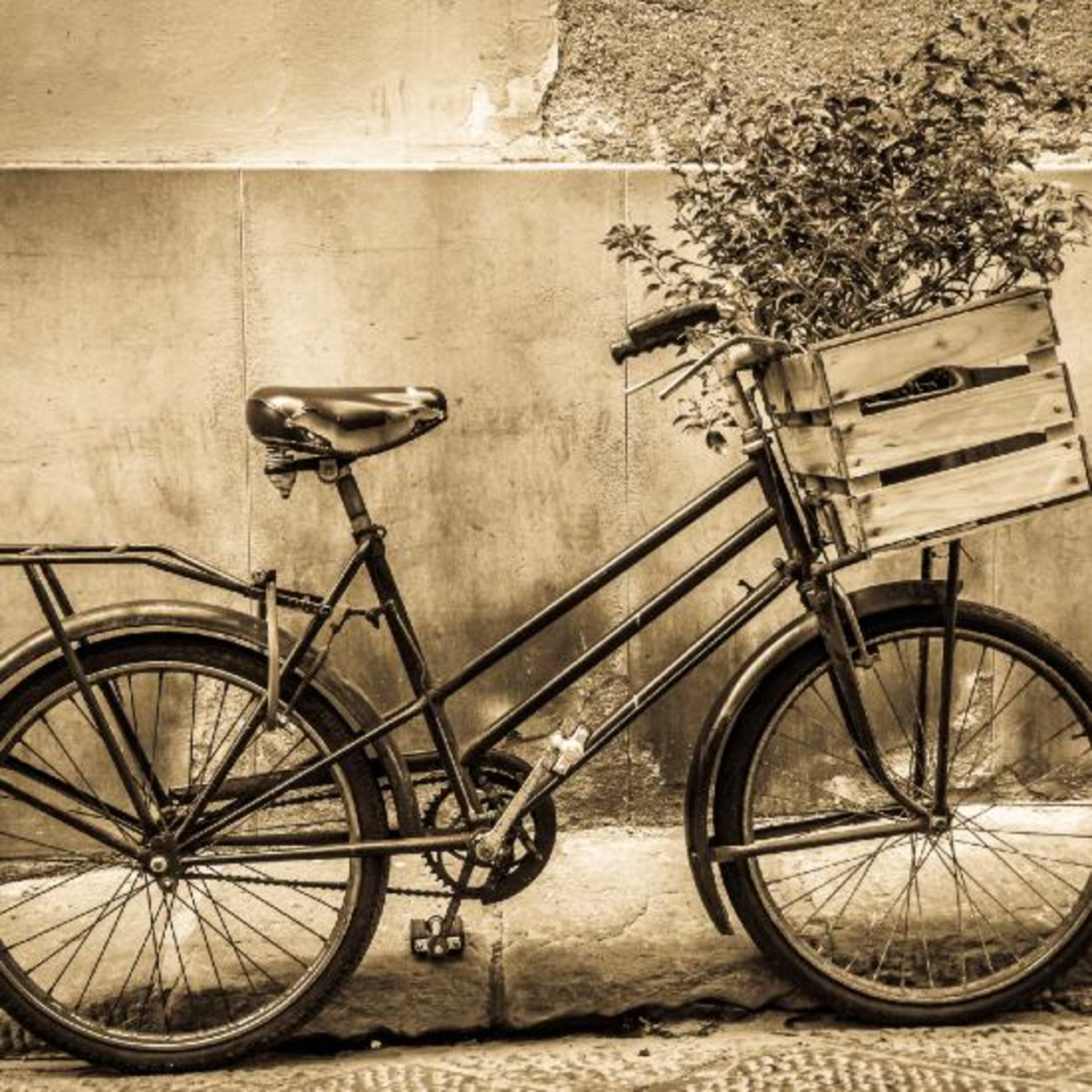 ההיסטוריה של האופניים