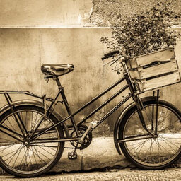 ההיסטוריה של האופניים