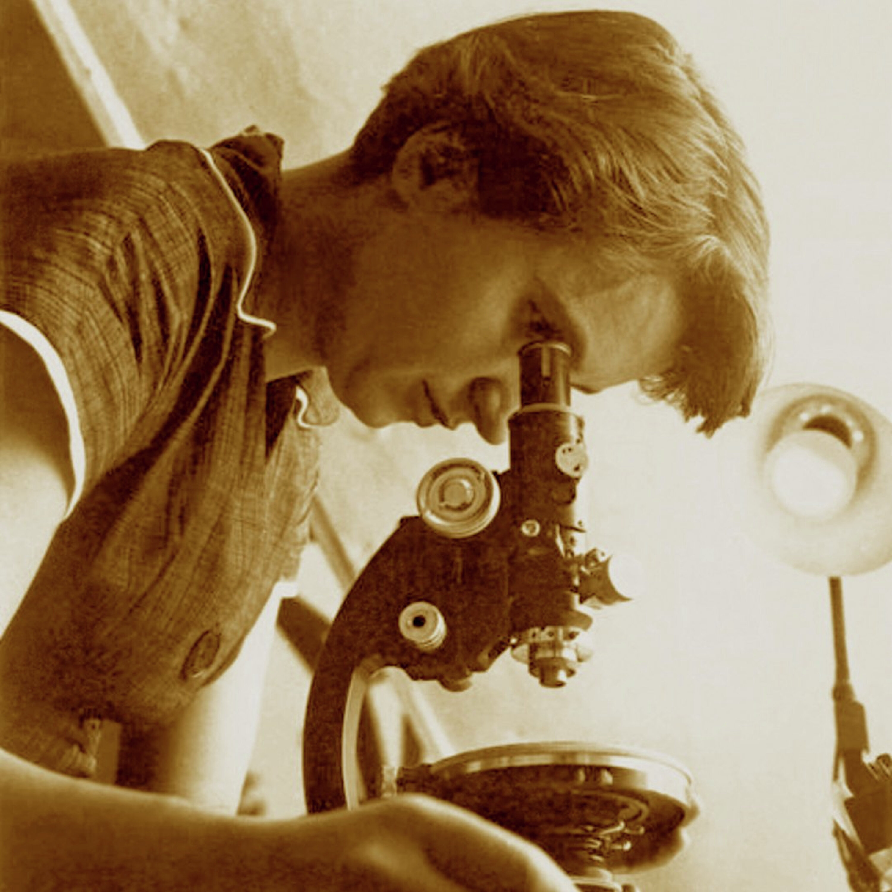 רוזלינד פרנקלין