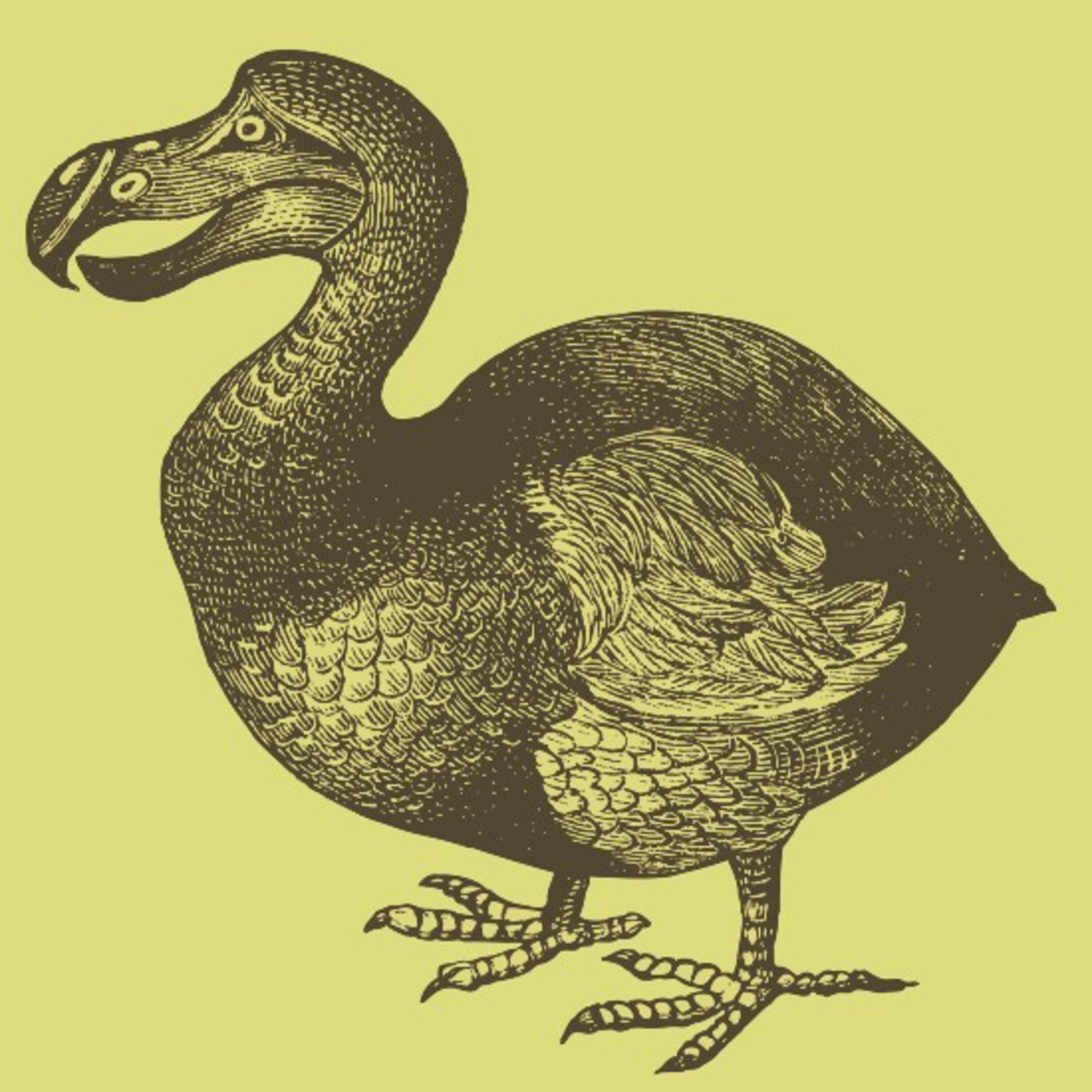 דודו איפה אתה? על חיות שנכחדו מהעולם