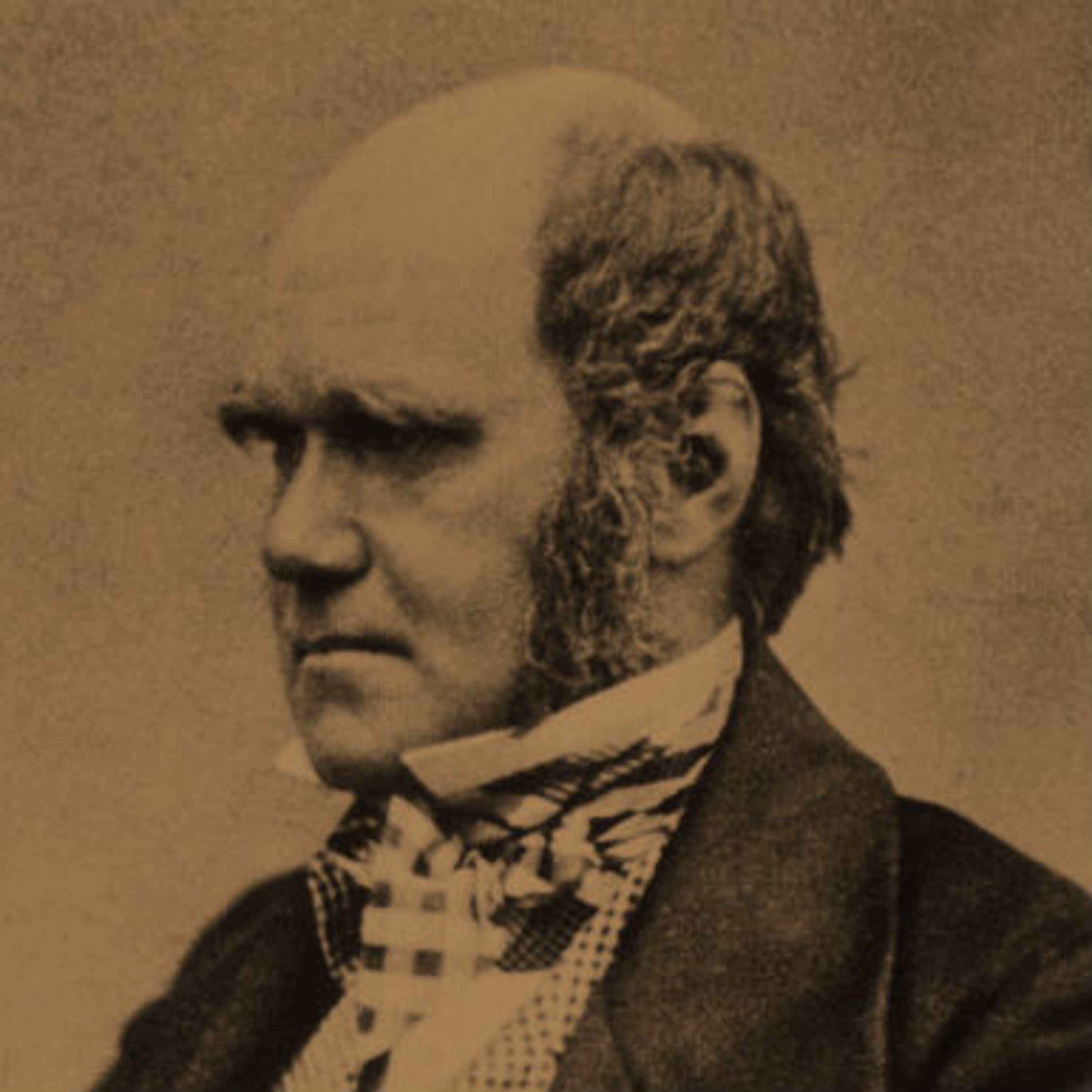 צ'ארלס דרווין