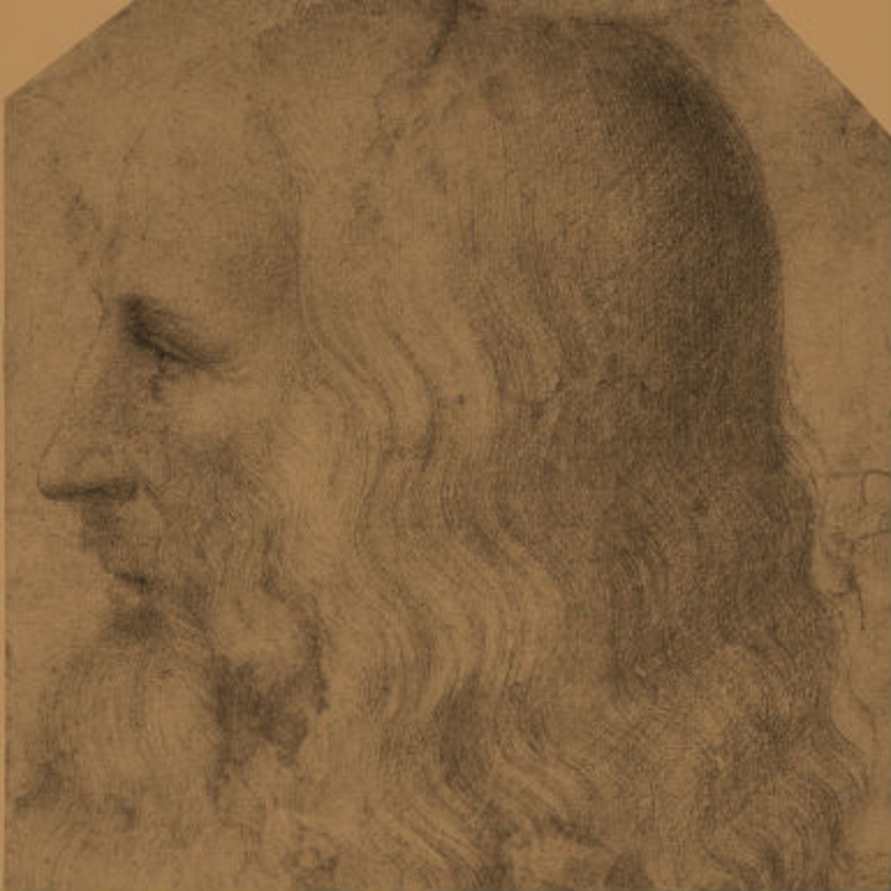 לאונרדו דה וינצ'י