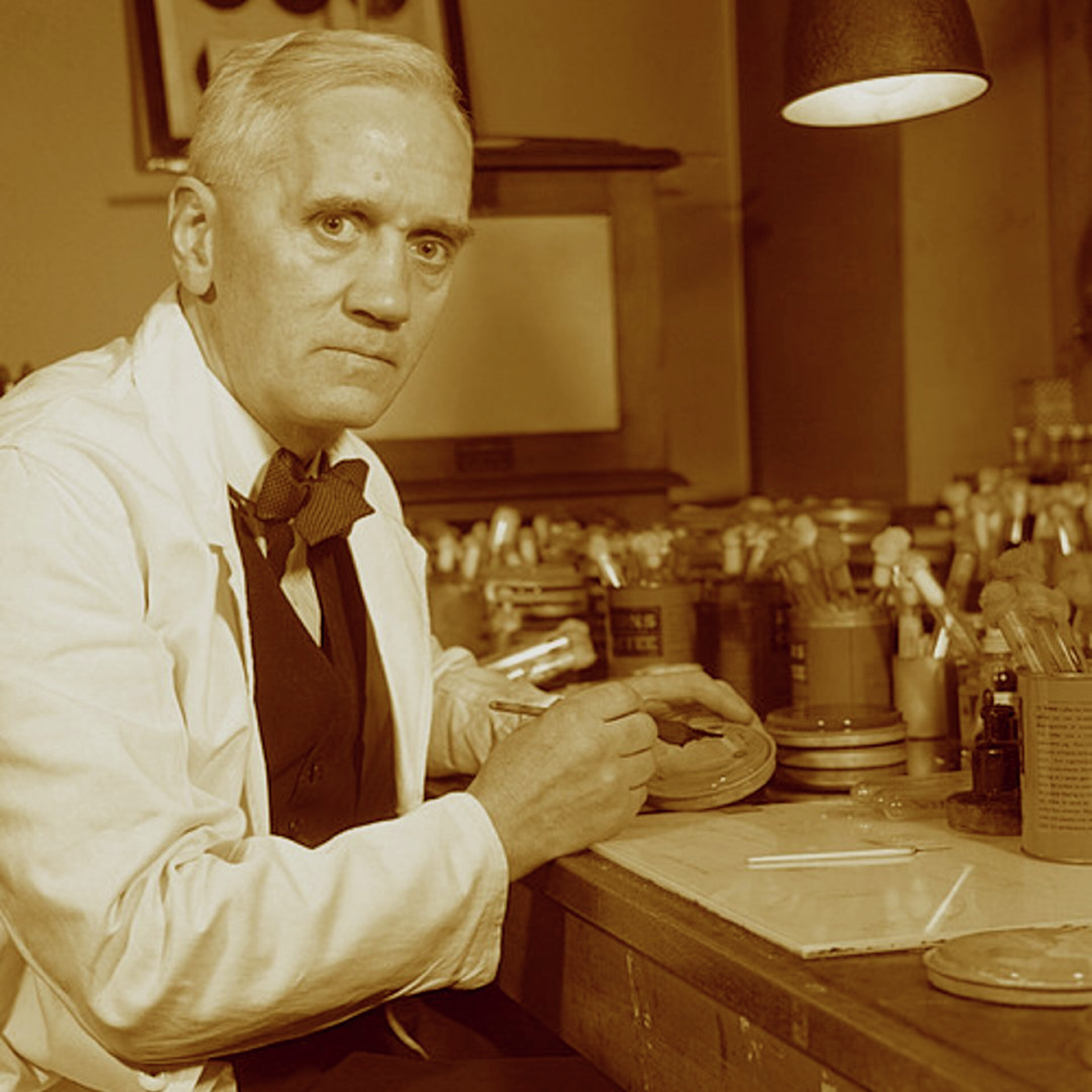 אלכסנדר פלמינג