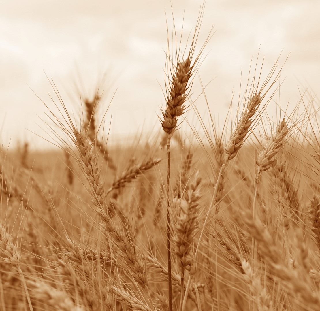 קרוב ה' לכל קוראיו