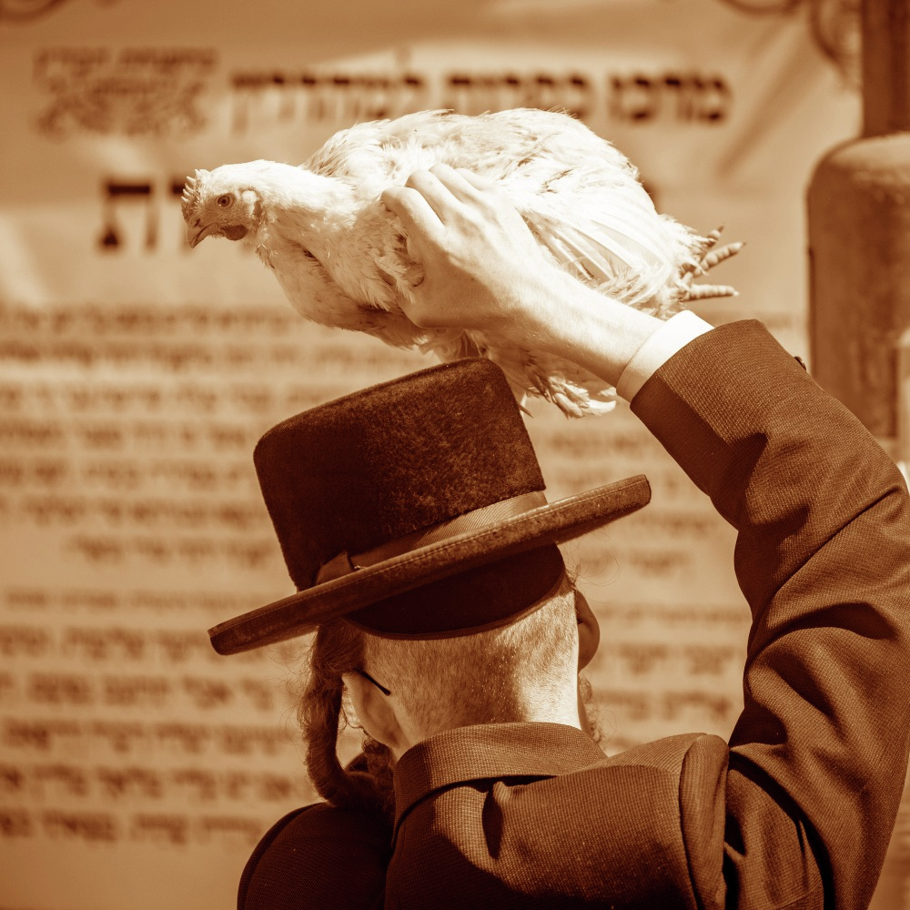 סלחתי כדבריך