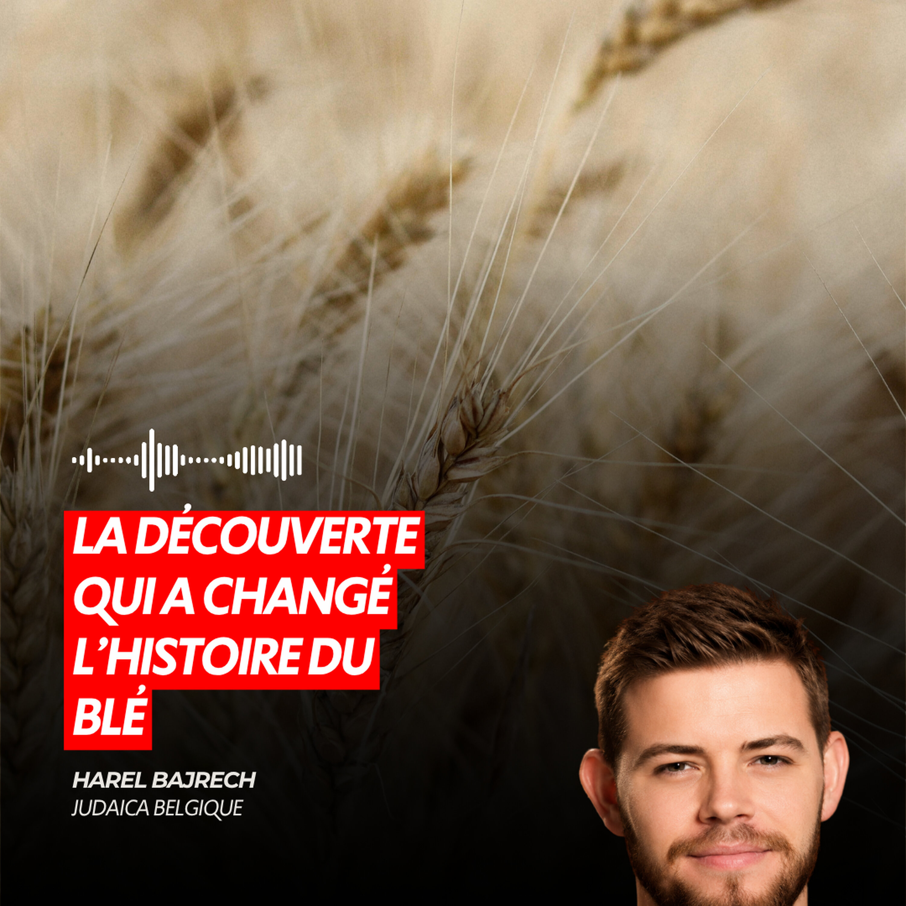 LA DÉCOUVERTE QUI A CHANGÉ L’HISTOIRE DU BLÉ episode artwork