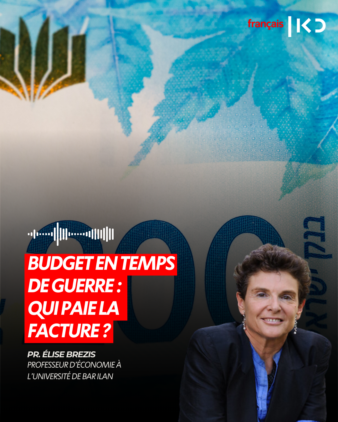 BUDGET EN TEMPS DE GUERRE : QUI PAIE LA FACTURE ? episode artwork