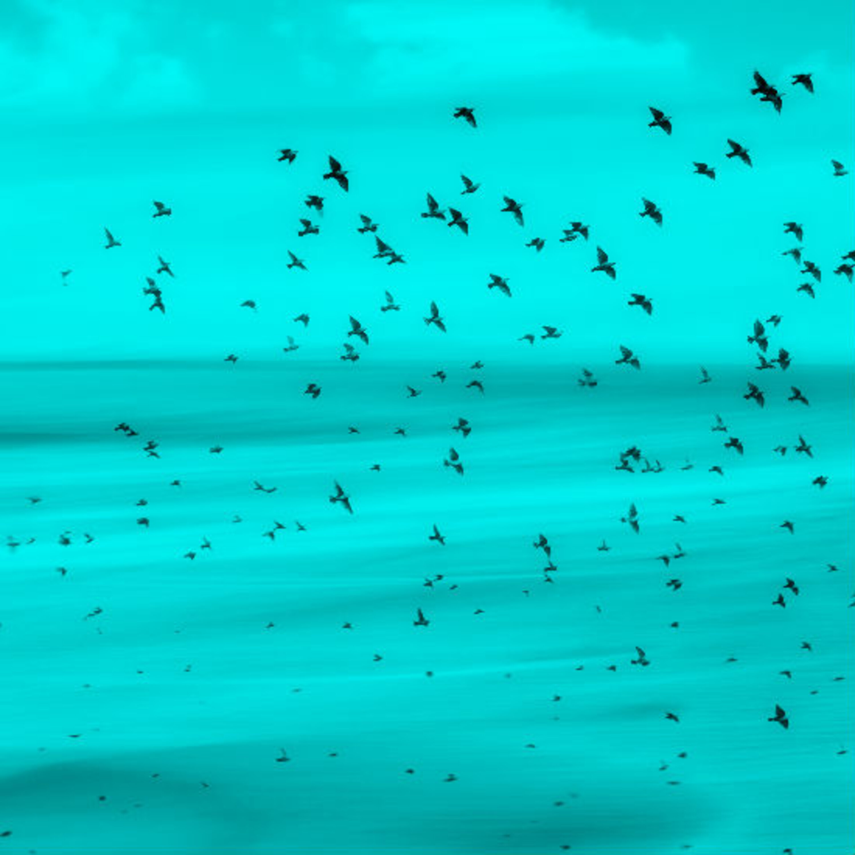 פרק 17: יש משהו באוויר