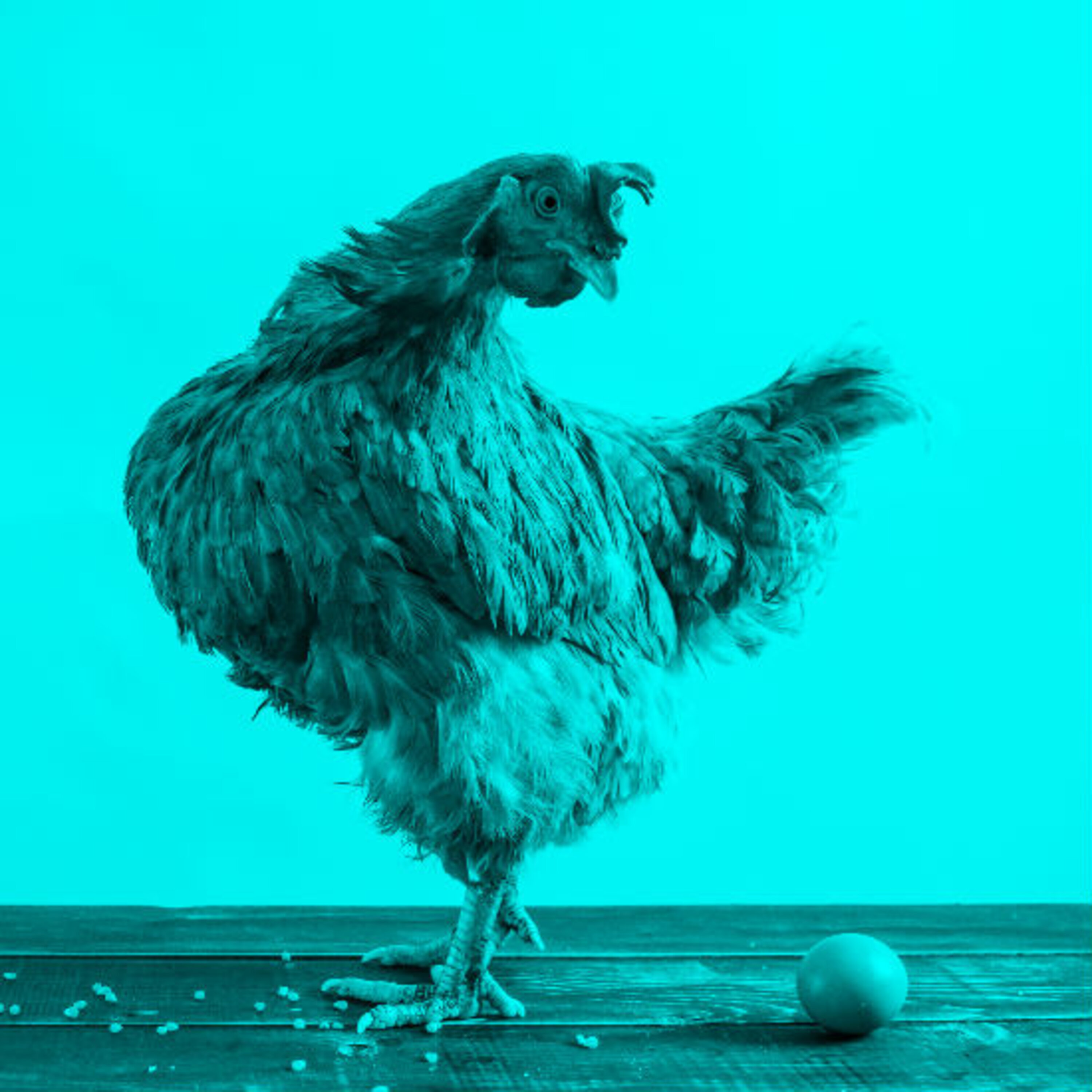 פרק 11: בראשית