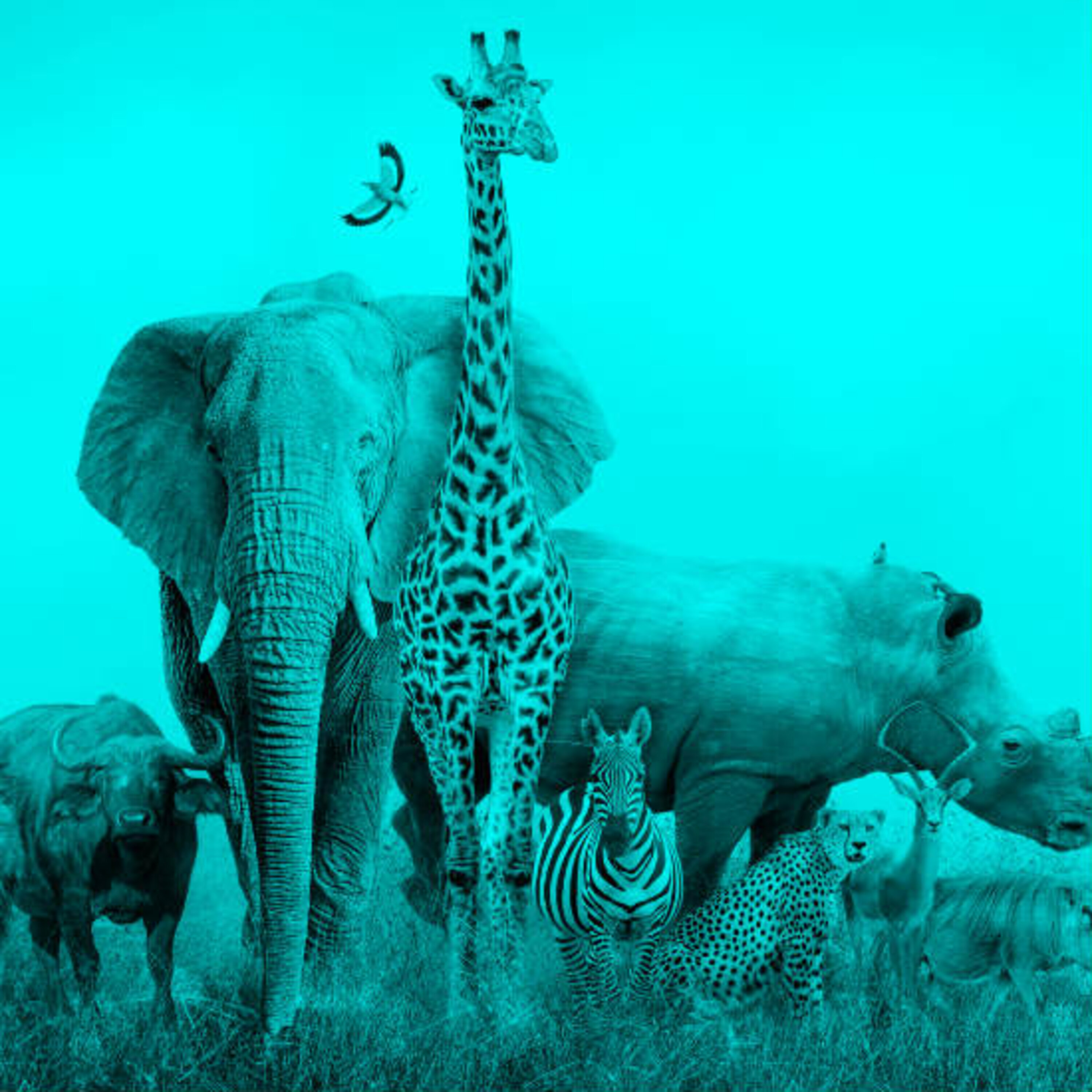 פרק 22: חיים וקשרים שעוד יש לגלות