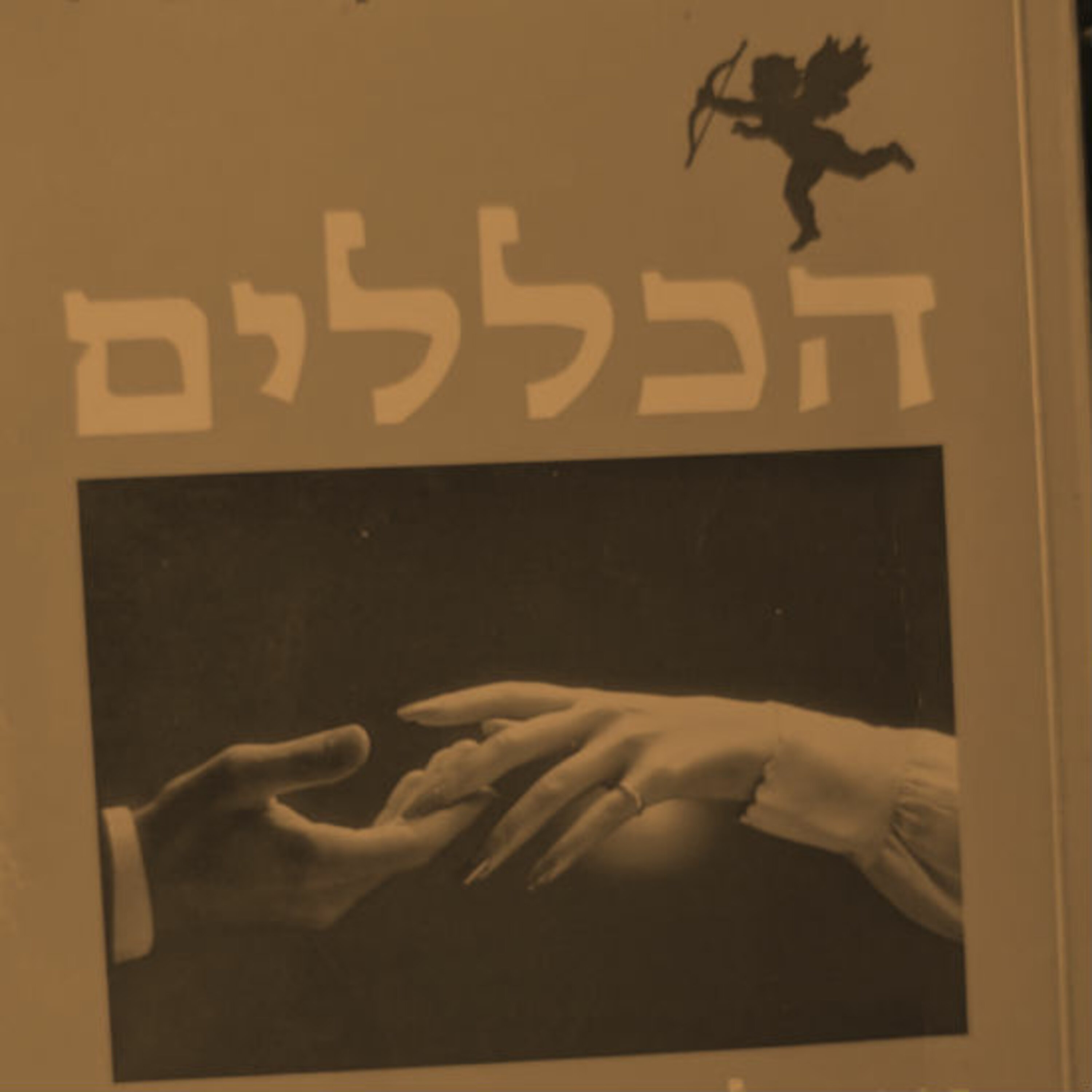 פרק 5 - הכללים: