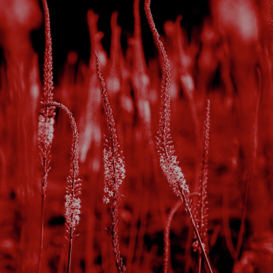 הן אפשר - גם כן תרבות עם ענת שרון בלייס על יצירות של תקווה