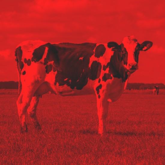 להתחיל מבראשית: שלושה שיודעים