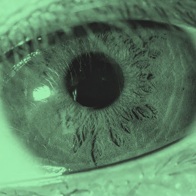 רואה לך בעיניים