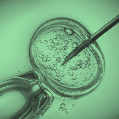 ספיישל פוריות