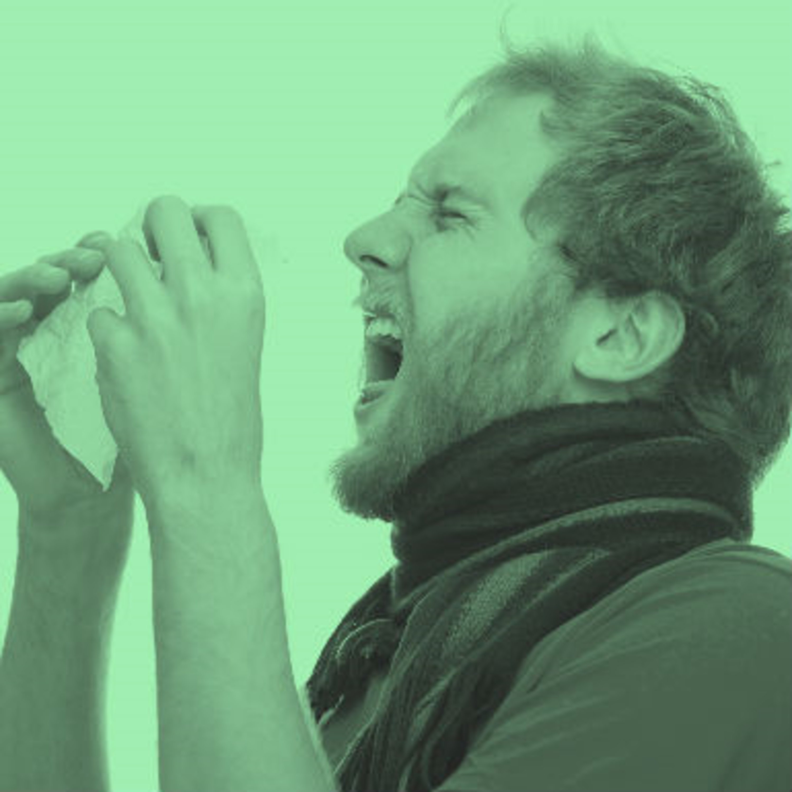 קדחת השחת שלמות Shlemut קדחת השחת