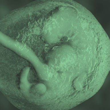 גוף בתוך גוף