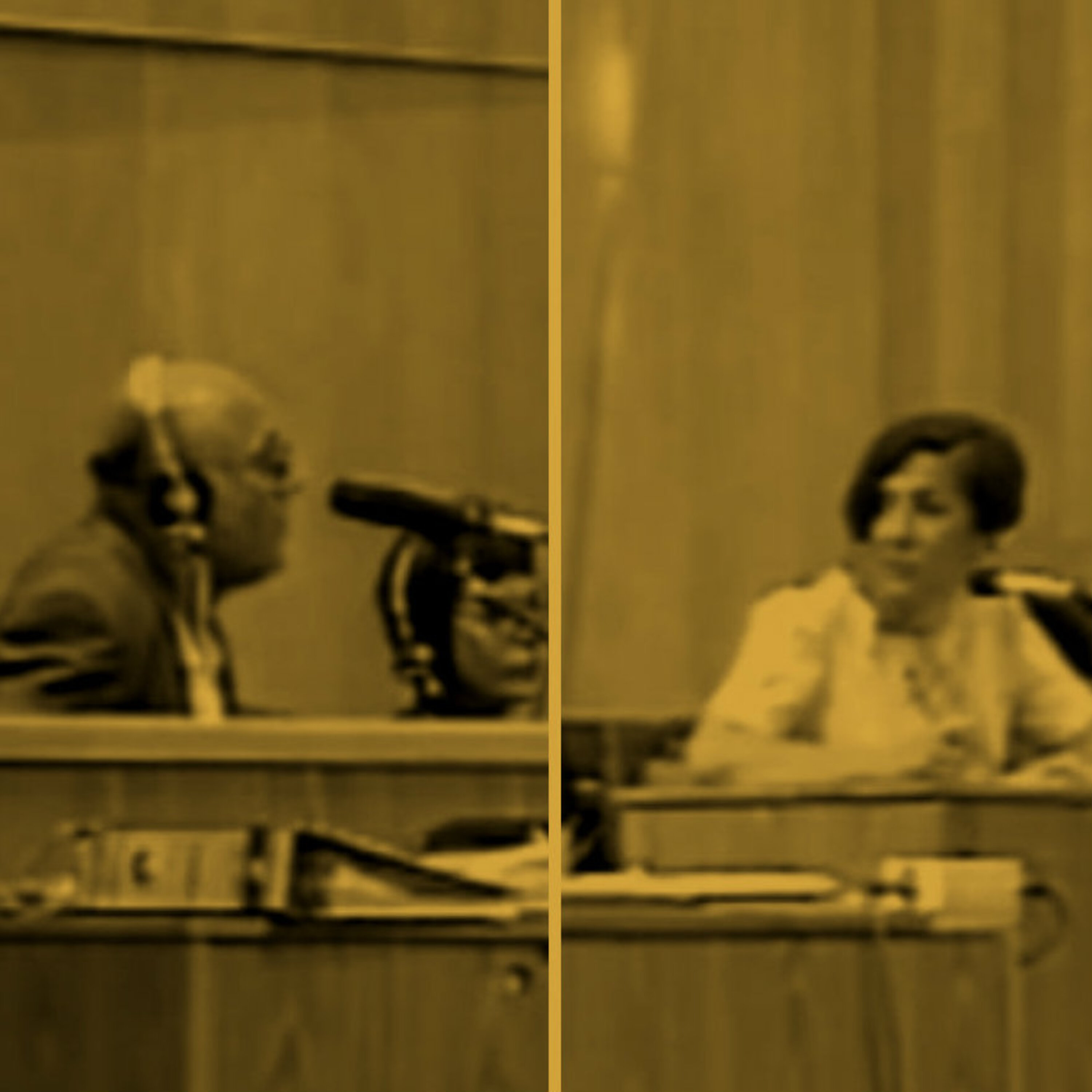 משפט דמיאניוק גרסת המתורגמנית השעה הבינלאומית – כאן עולמי International Hour משפט דמיאניוק גרסת המתורגמנית