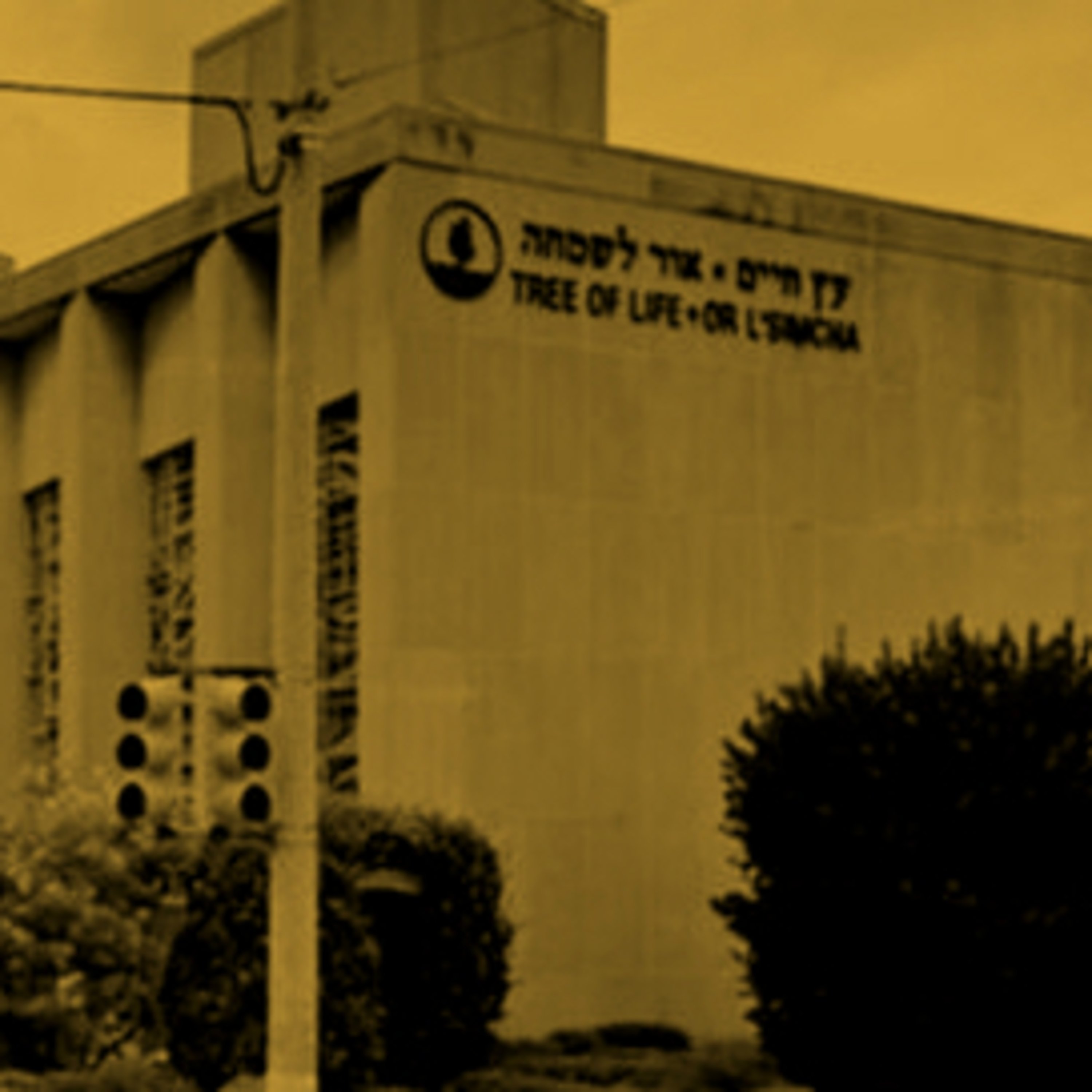 עץ חיים השעה הבינלאומית – כאן עולמי International Hour עץ חיים