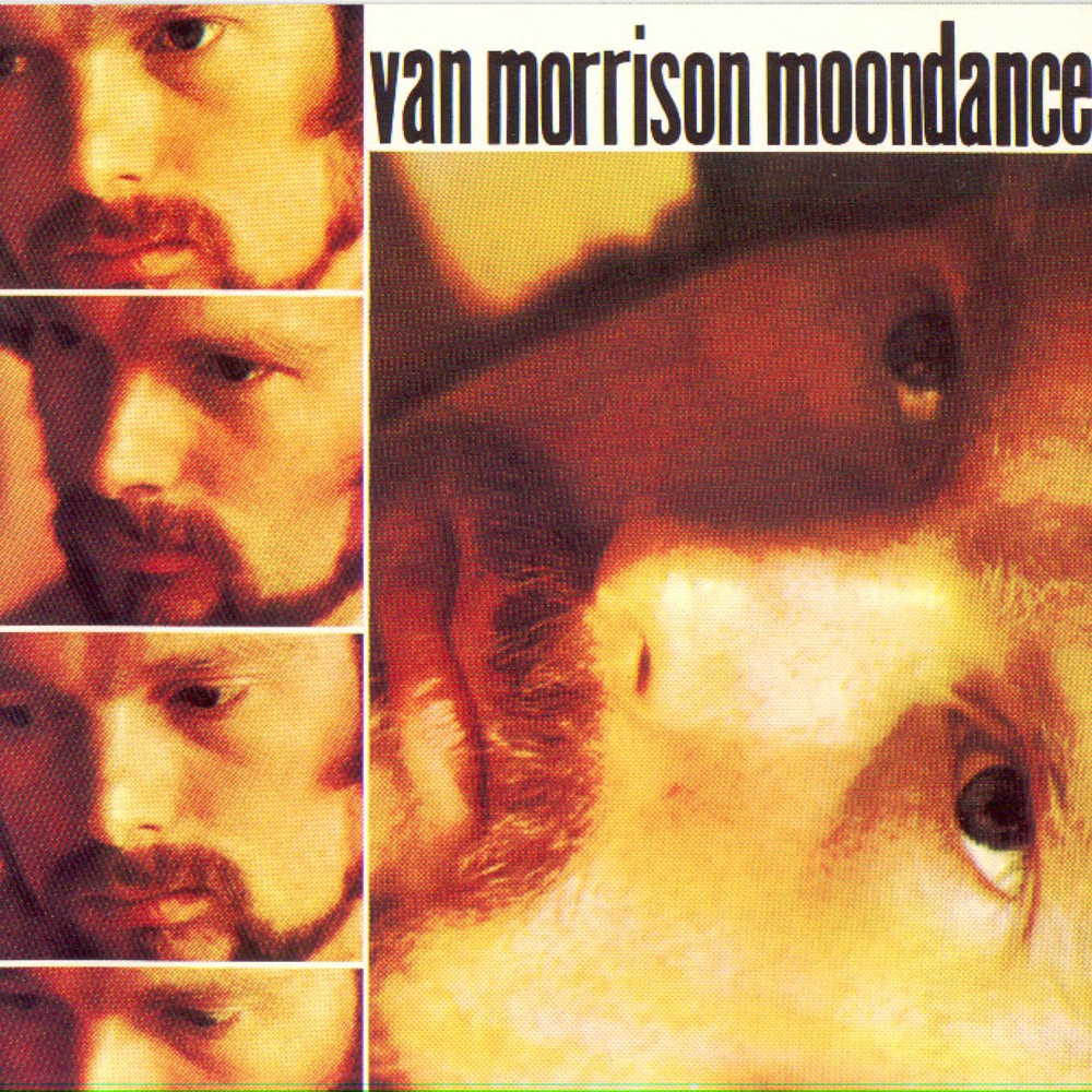 אלבום לאי בודד - Van Morrison - Moondance