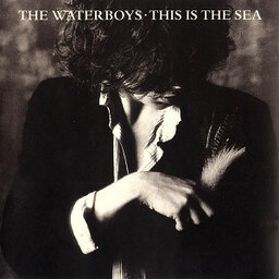 אלבום לאי בודד - The Waterboys - This is the Sea