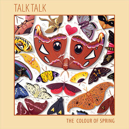 אלבום לאי בודד - Talk Talk - The Colour of Spring