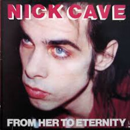 אלבום לאי בודד -Nick Cave  - From Her To Eternity