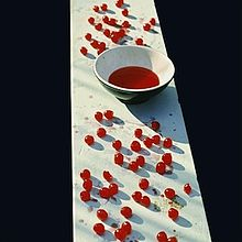 אלבום לאי בודד - מנחם גרנית