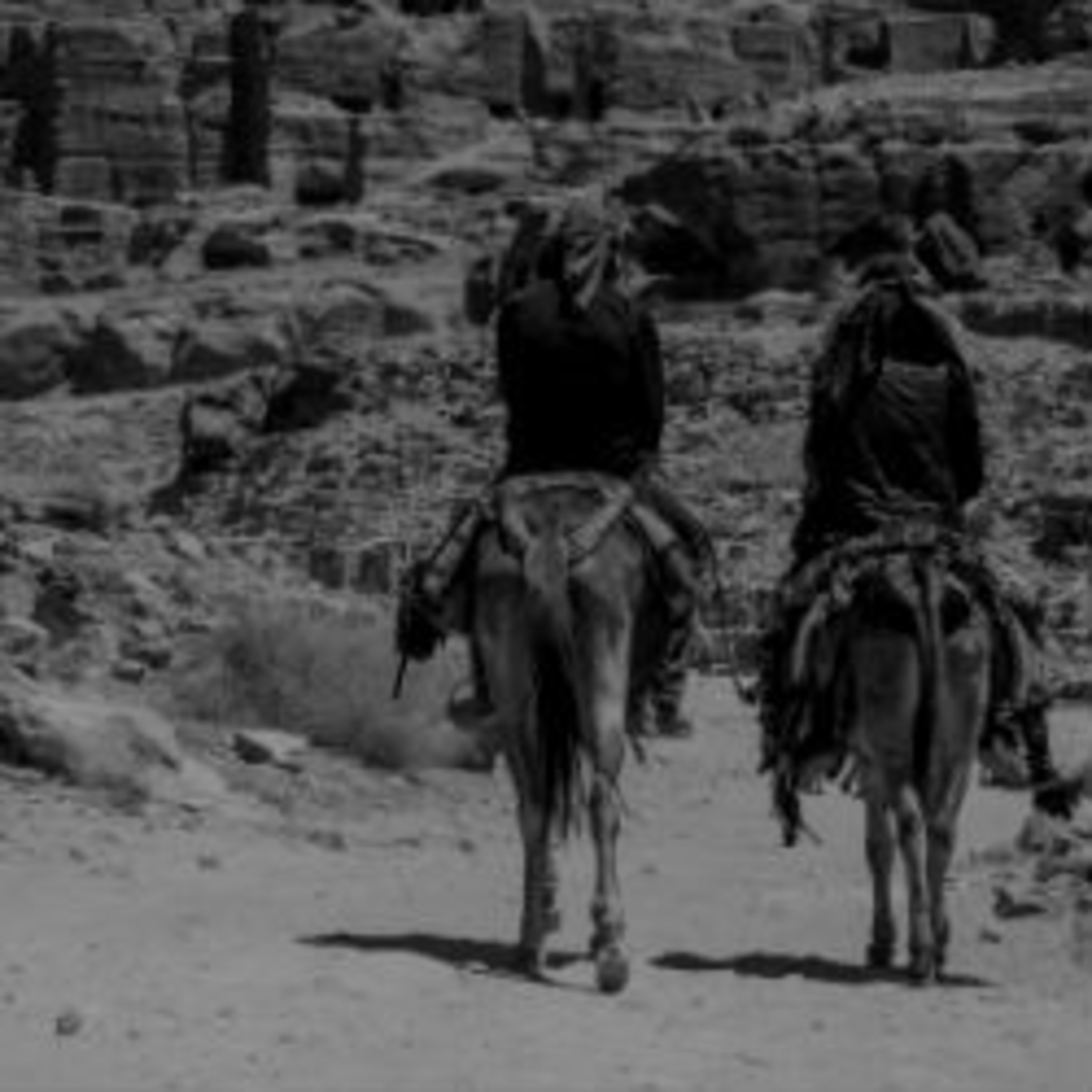 תמותת תינוקות בפזורה הבדואית כאן מקומי Kan Mekomi תמותת תינוקות בפזורה הבדואית