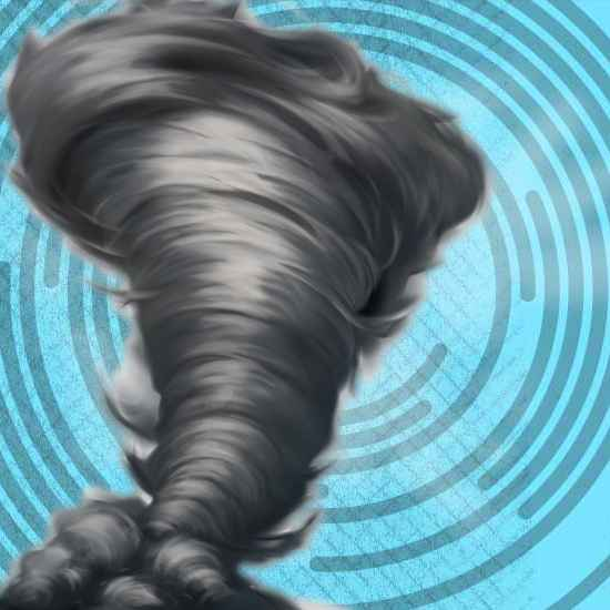 לאן נעלם מארבל